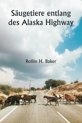 Sugetiere entlang des Alaska Highway 1