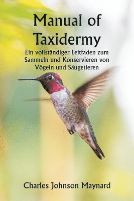 Manual of Taxidermy Ein vollstndiger Leitfaden zum Sammeln und Konservieren von Vgeln und Sugetieren 1