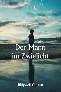 bokomslag Der Mann im Zwielicht