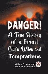 bokomslag Danger! a True History of a Great City's Wiles and Temptations