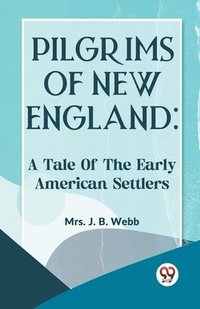 bokomslag Pilgrims Of New England