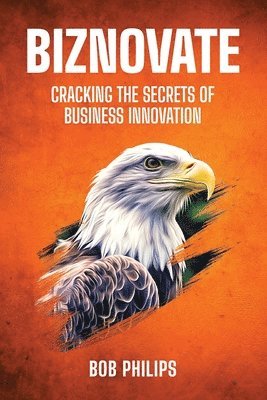 bokomslag Biznovate: Cracking the Secrets of Business Innovation