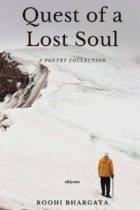 bokomslag Quest of a Lost Soul