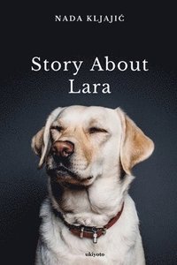 bokomslag Story about Lara