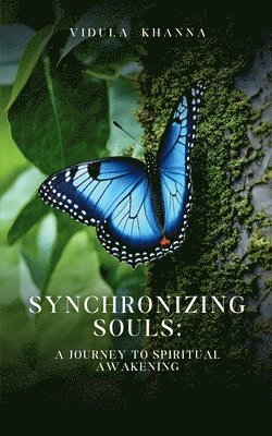 bokomslag Synchronizing Souls