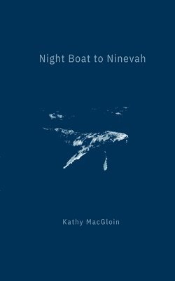 bokomslag Night Boat to Ninevah