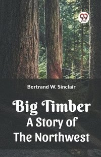 bokomslag Big Timber A Story Of The Northwest