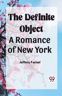 bokomslag Definite Object A Romance Of New York