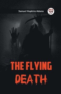 bokomslag Flying Death
