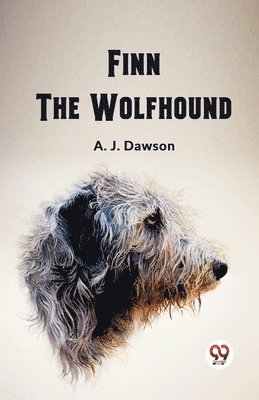 Finn The Wolfhound (Edition2023)