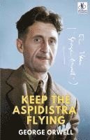 bokomslag Keep the Aspidistra Flying
