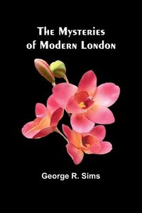 bokomslag The Mysteries of Modern London