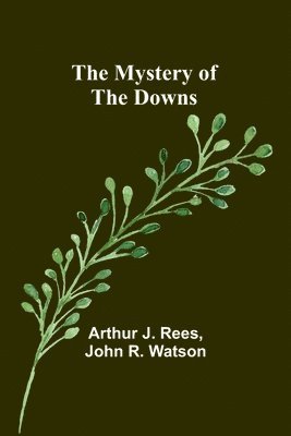 bokomslag Thirty years history of the church and congregation in Princes Street Chapel, Norwich (Edition1)