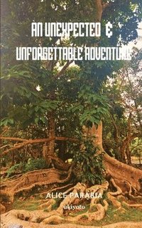 bokomslag Unexpected & Unforgettable Adventure