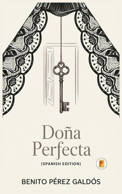 bokomslag Doña Perfecta