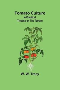 bokomslag Tomato Culture