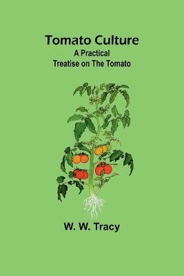 bokomslag Tomato Culture