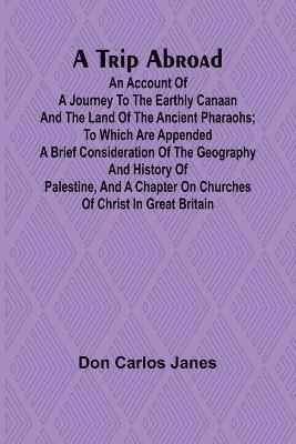 bokomslag A Trip Abroad An Account of a Journey to the Earthly Canaan and the Land of the Ancient Pharaohs; To Which Are Appended a Brief Consideration of the Geography and History of Palestine, and a Chapter