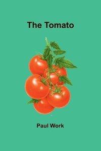 bokomslag The Tomato