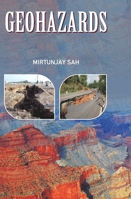 bokomslag Geohazards