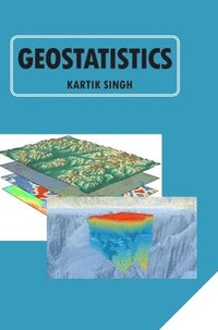 bokomslag Geostatistics
