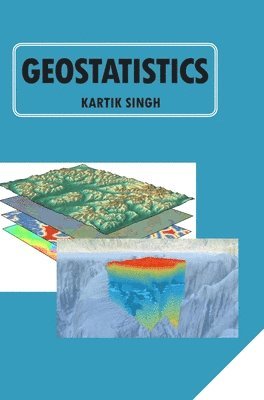 bokomslag Geostatistics