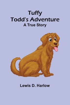 bokomslag Tuffy Todd's Adventure