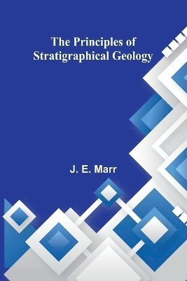 bokomslag The Principles of Stratigraphical Geology