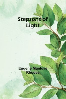 bokomslag Stepsons of Light