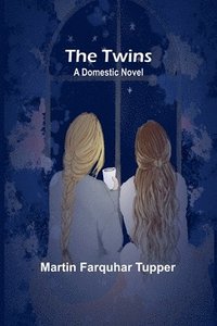 bokomslag The Twins: A Domestic Novel