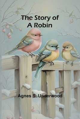 The Story of a Robin 1