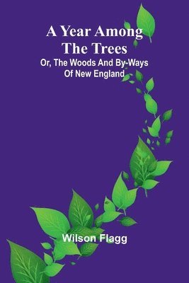 bokomslag A year among the trees: or, the woods and by-ways of New England