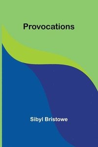 bokomslag Provocations