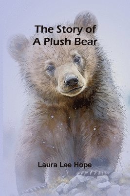 The Story of a Plush Bear 1