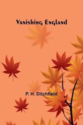 bokomslag Vanishing England