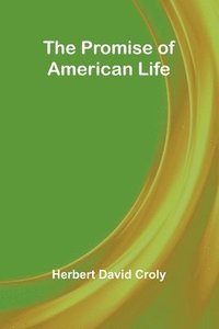 bokomslag The Promise of American Life