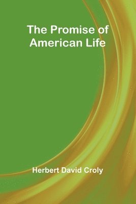 bokomslag The Promise of American Life