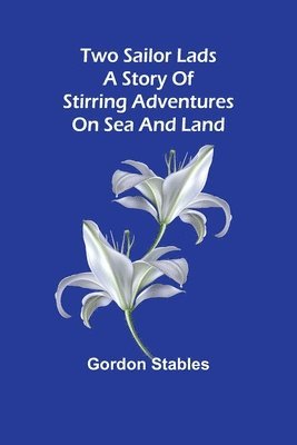 Two sailor lads A story of stirring adventures on sea and land 1