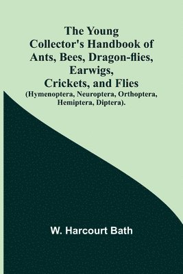 bokomslag The Young Collector's Handbook of Ants, Bees, Dragon-flies, Earwigs, Crickets, and Flies (Hymenoptera, Neuroptera, Orthoptera, Hemiptera, Diptera).