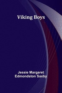 bokomslag Viking Boys