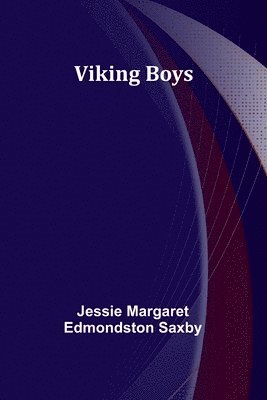 bokomslag Viking Boys