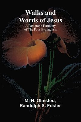 bokomslag Walks and Words of Jesus: A Paragraph Harmony of the Four Evangelists