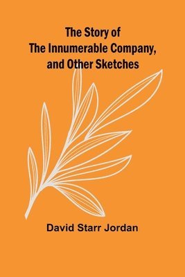 The Story of the Innumerable Company, and Other Sketches 1