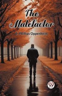 bokomslag Malefactor (Edition2024)