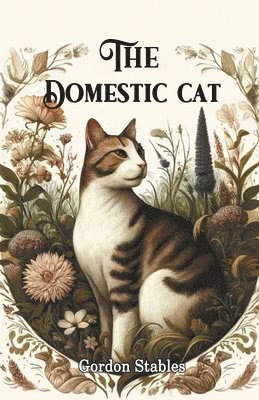 bokomslag The Domestic Cat