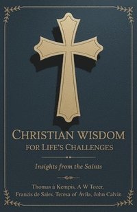 bokomslag Christian Wisdom for Life's Challenges