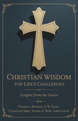 bokomslag Christian Wisdom for Life's Challenges