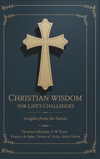 bokomslag Christian Wisdom for Life's Challenges