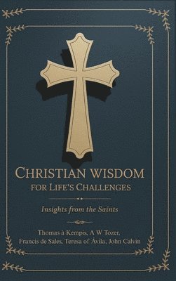 bokomslag Christian Wisdom for Life's Challenges