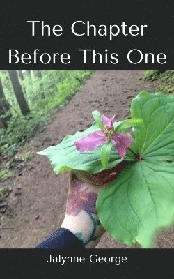 The Chapter Before This One 1